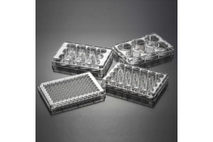 CLEARLine® Multiwell cell culture plates