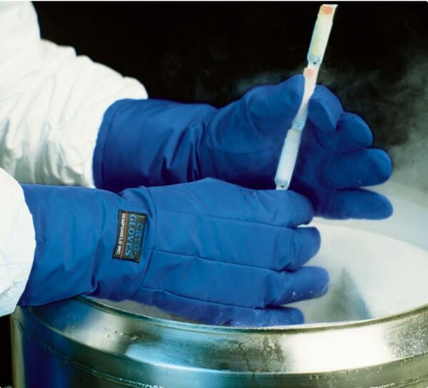 Cryogenic Gloves