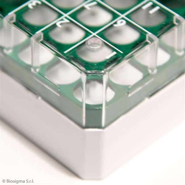 Polycarbonate Cryoboxes - CLEARLine®  Accessories - Image 2